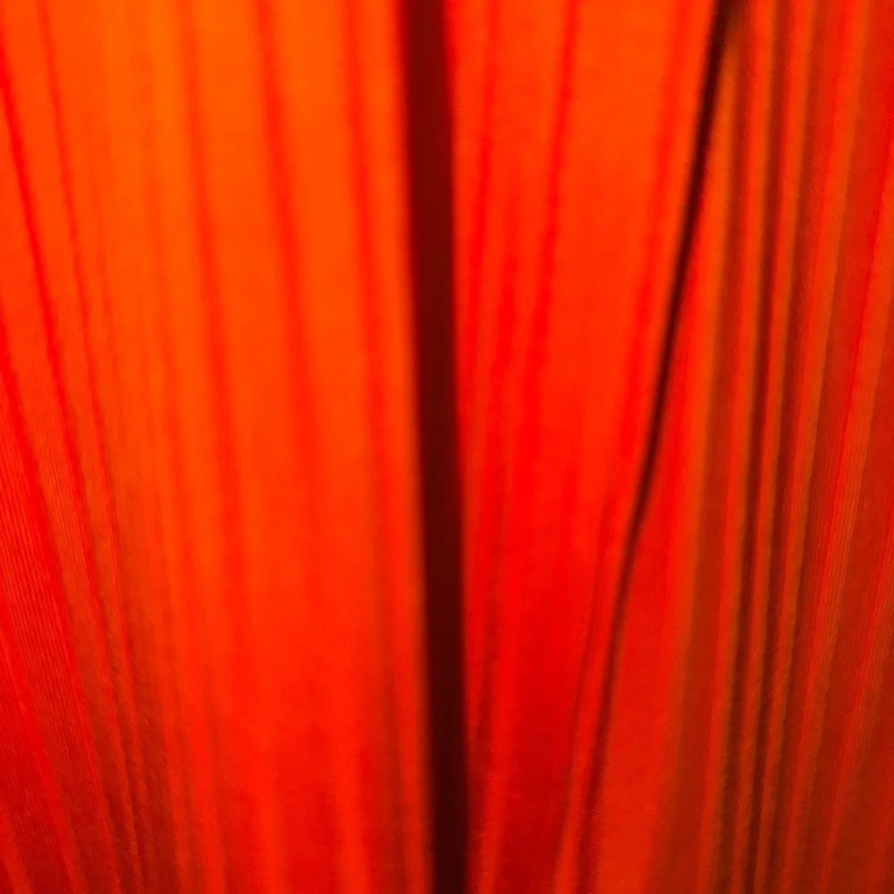 Orange Sleeveless Vest with Tank - Picture 4 of 8